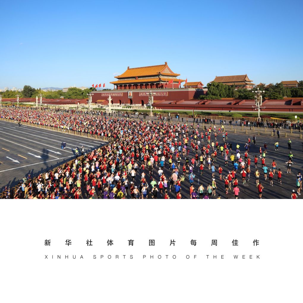 必一运动相关图片